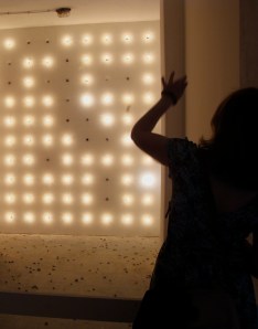 serial bulb killer (5)